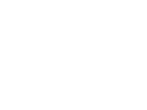 Sanchi Enterprises